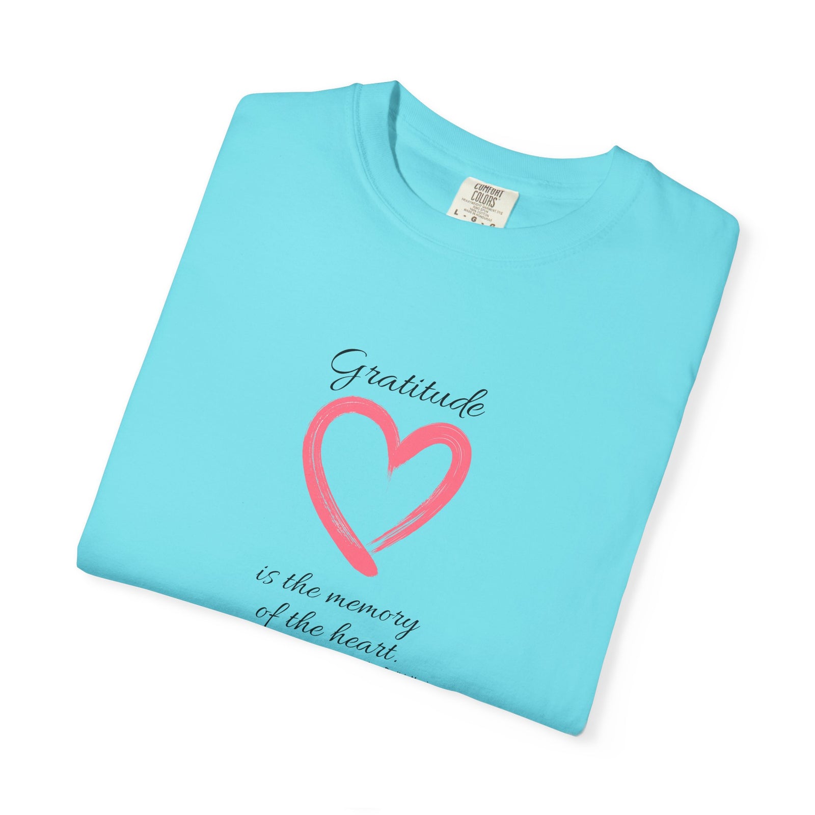 Gratitude Unisex T-shirt