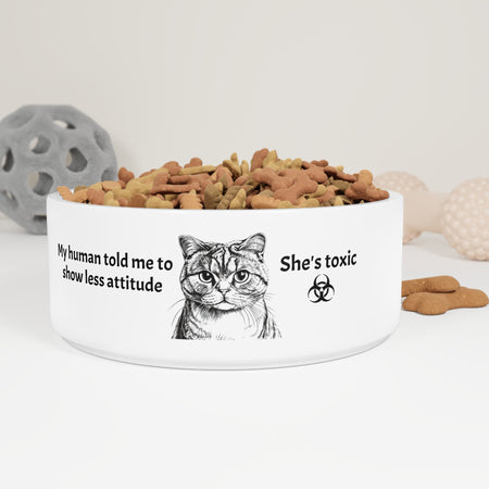 Pet Bowl for cat