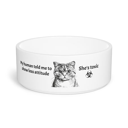 Pet Bowl for cat