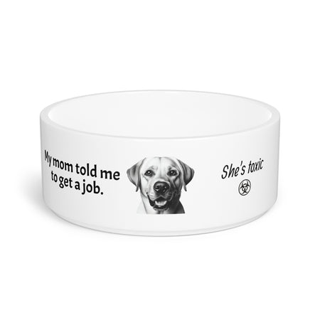 Funny Pet Bowl with Humor. Labrador told to get a job.