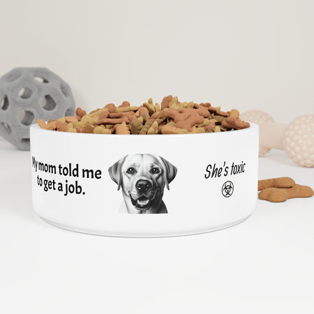 Funny Pet Bowl with Humor. Labrador told to get a job.