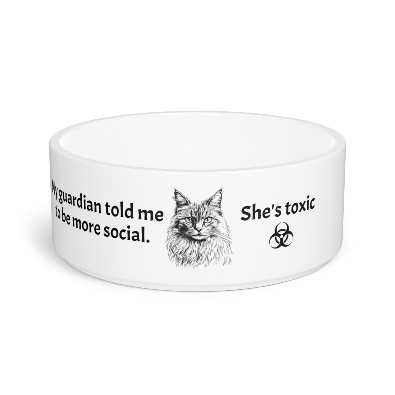 Pet Bowl - Funny Rag Doll Dining Experience Design