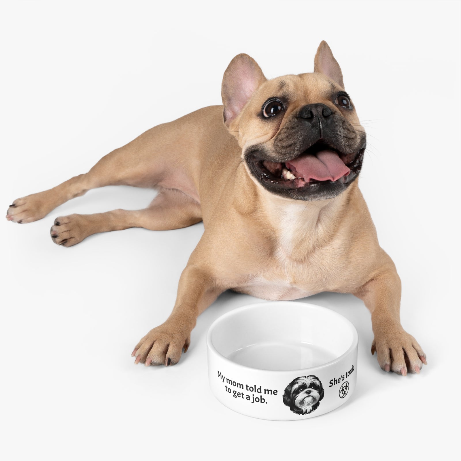 Quirky Pet Bowl for Dogs, Funny Dog Bowl Gift. Shih Tzu told to get a job.