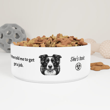 Humorous Pet Bowl for Dogs. Border Collie told to get a job
