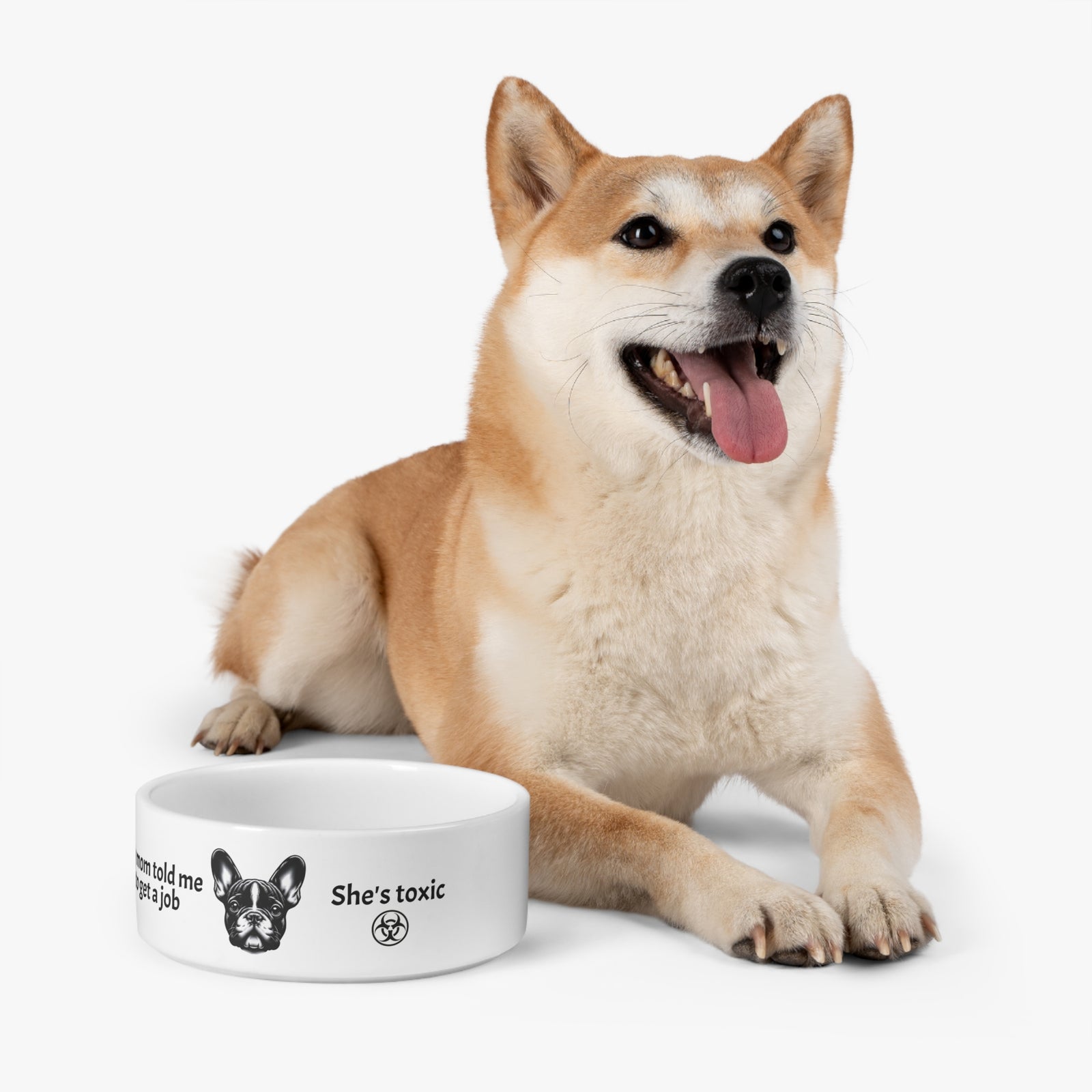 Funny Pet Bowl for Dogs, Quirky Dog Food Dish. French Bulldog told to get a job.