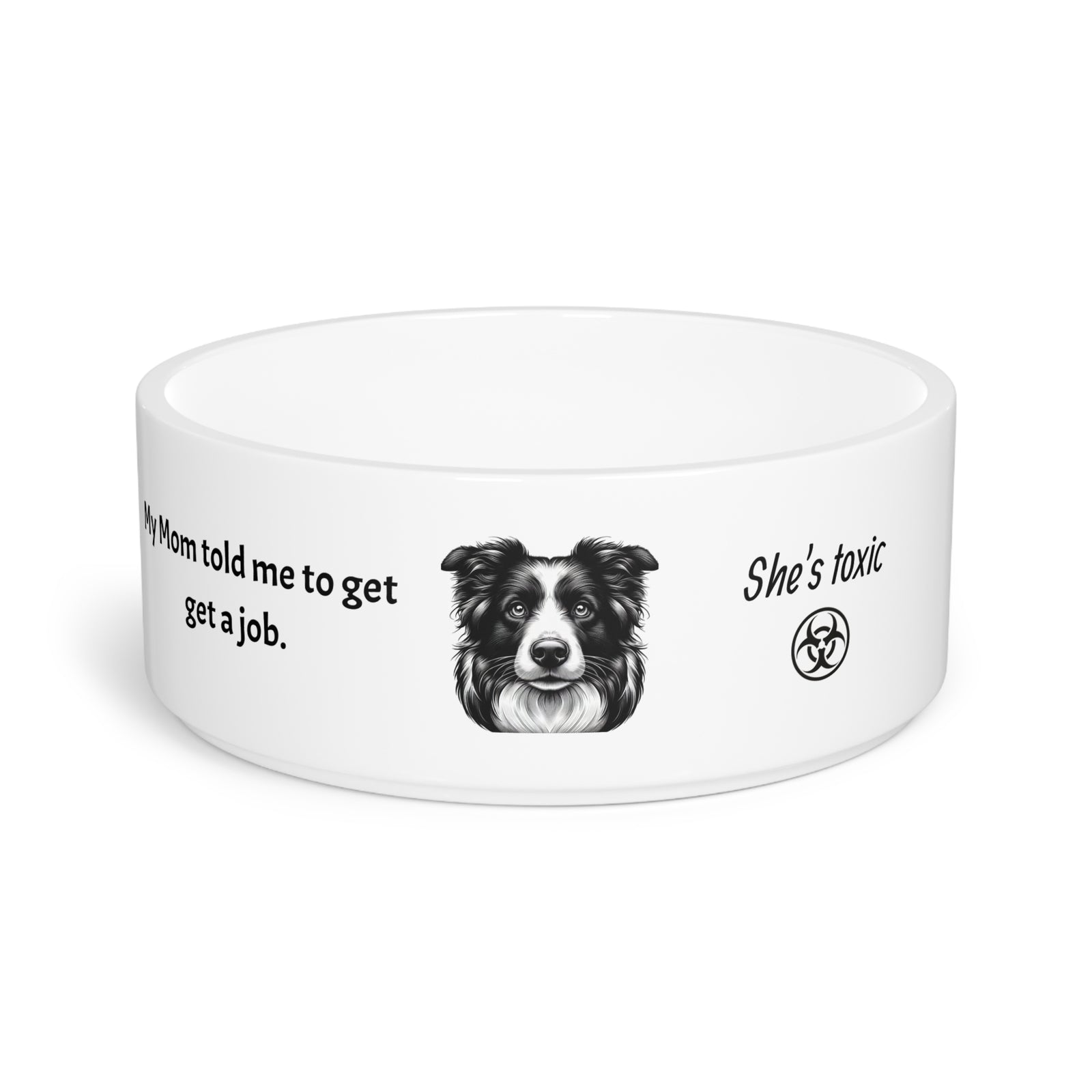 Humorous Pet Bowl for Dogs. Border Collie told to get a job